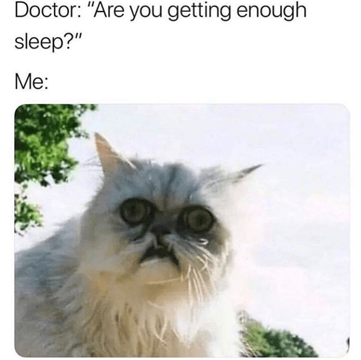 sleep deprived cat meme