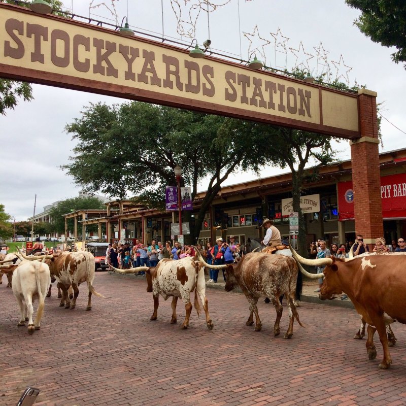 stockyards station east exchange avenue fort worth tx