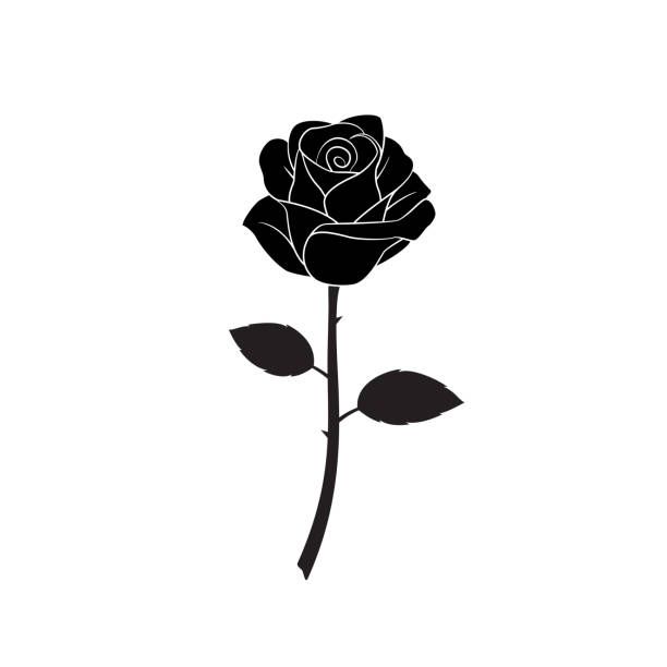 rose vector tattoo