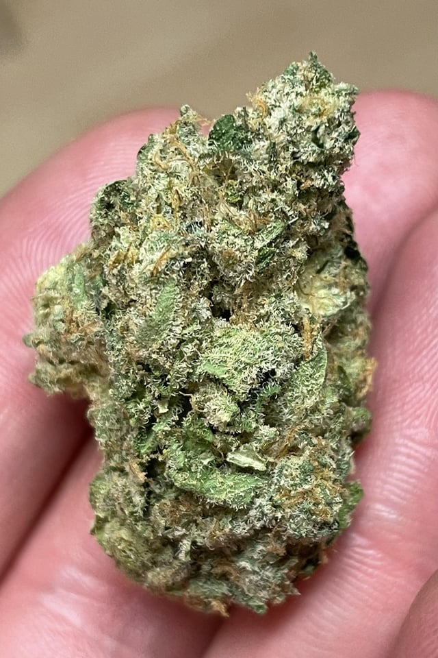 lemon tartz strain