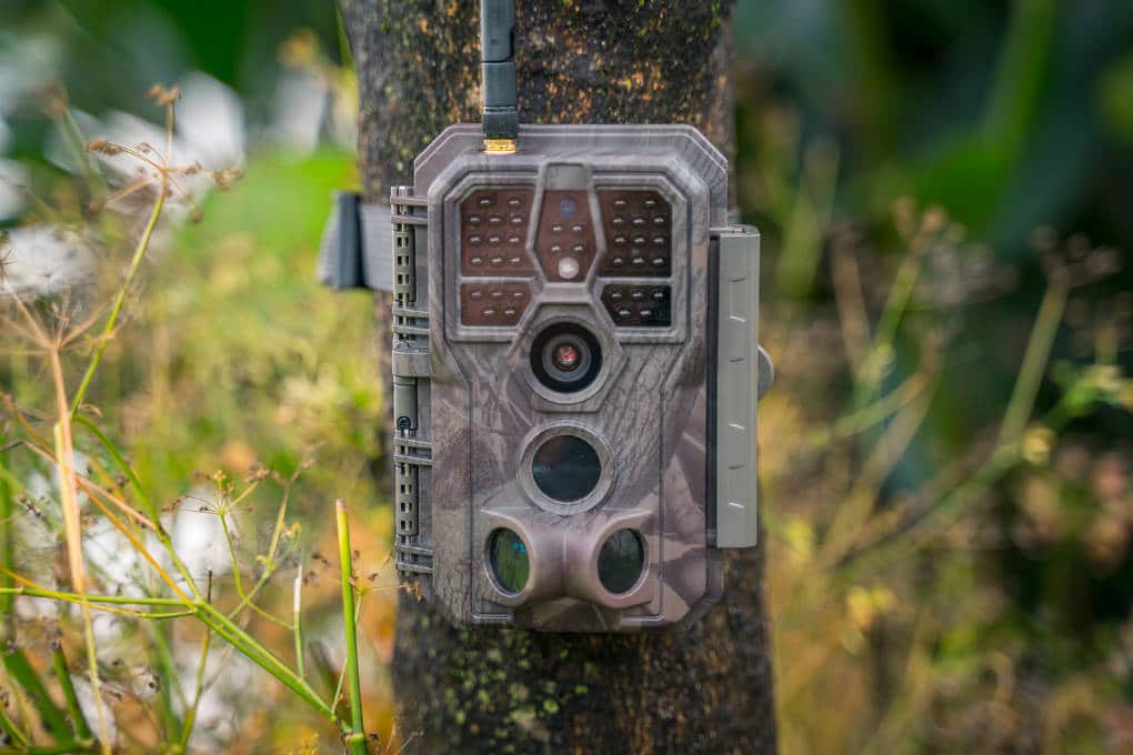 blaze video trail camera