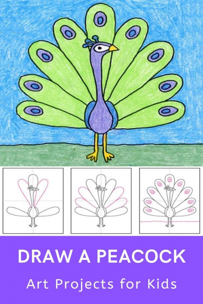 peacock drawing for kids