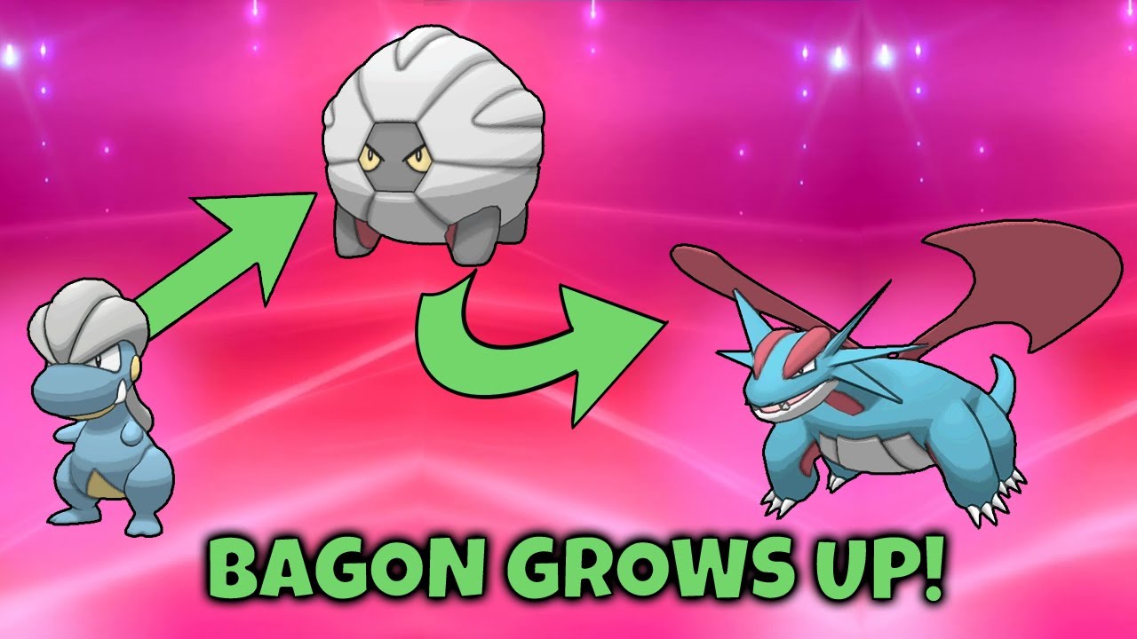 what lvl does shelgon evolve