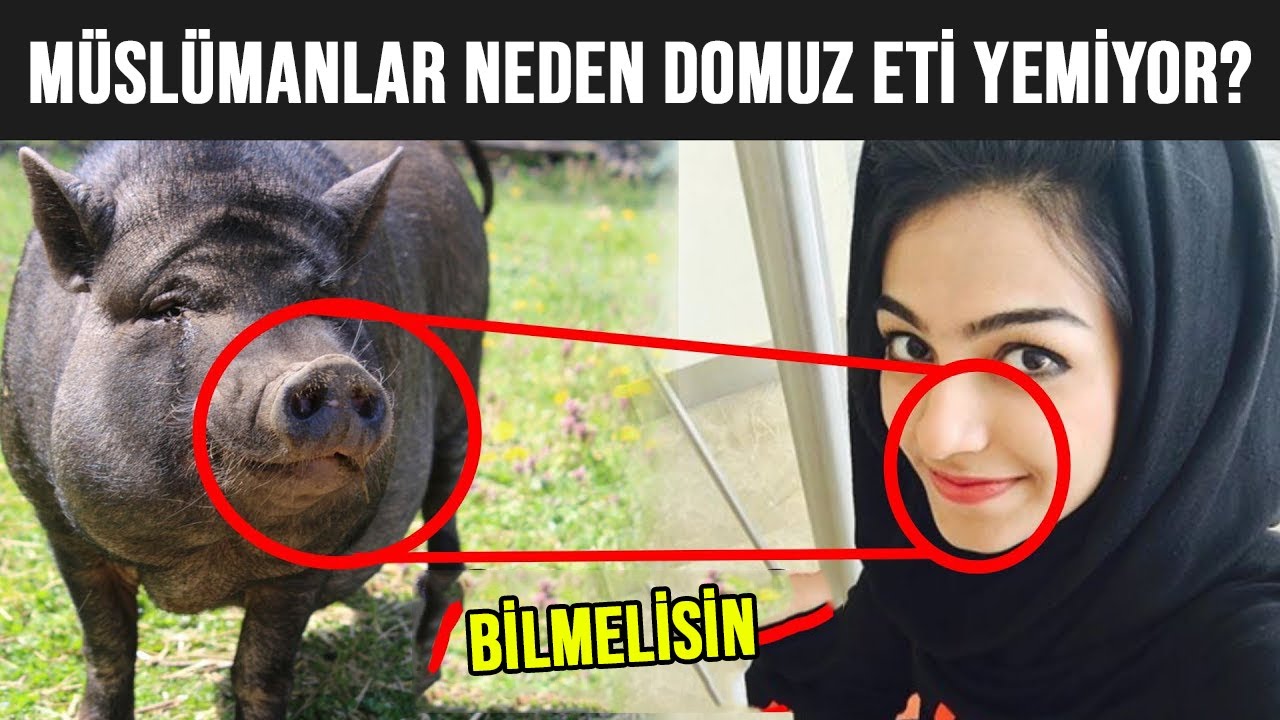 domuz eti neden haram bilimsel