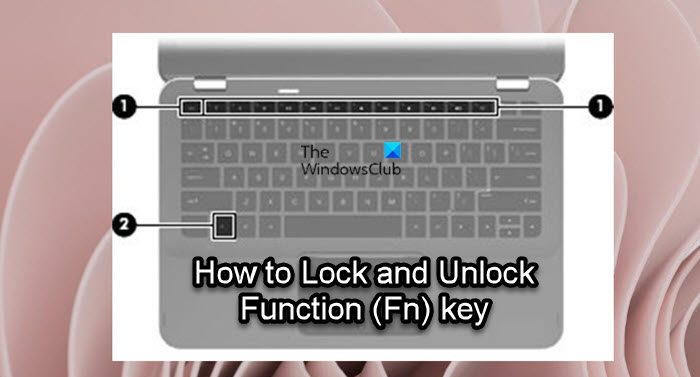 keyboard fn lock