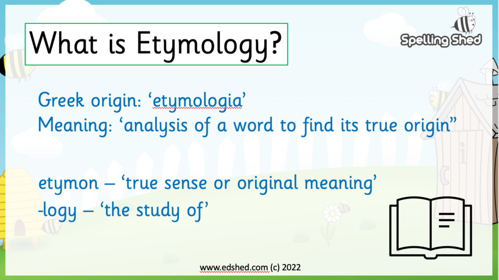 definition of etymology