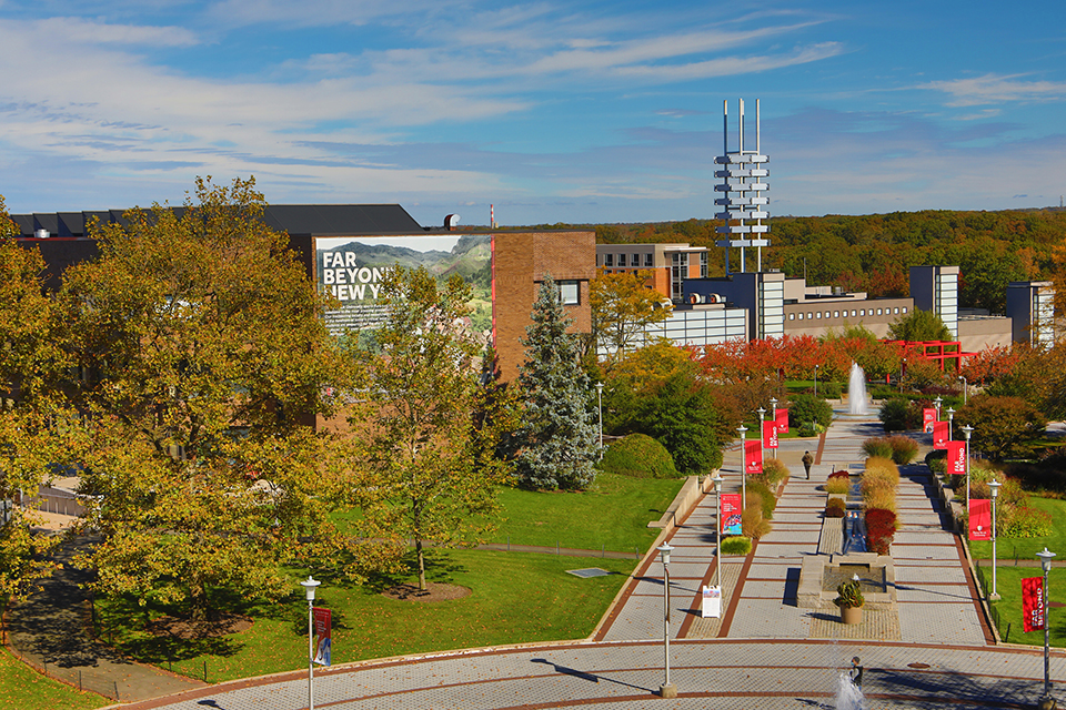 stony brook it