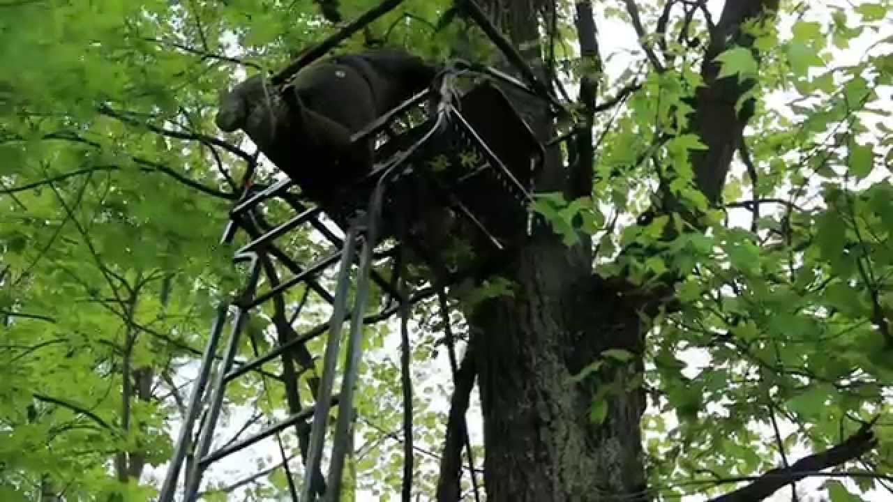 setting up a ladder stand