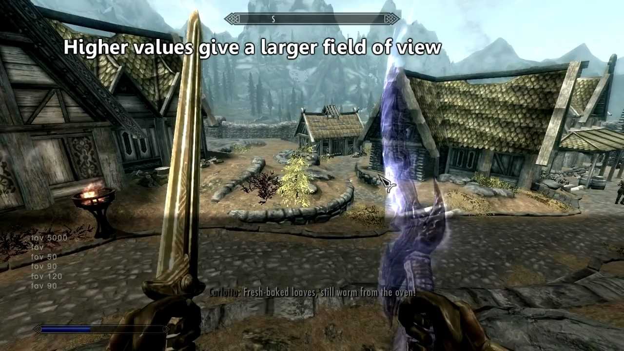 how to change fov in skyrim