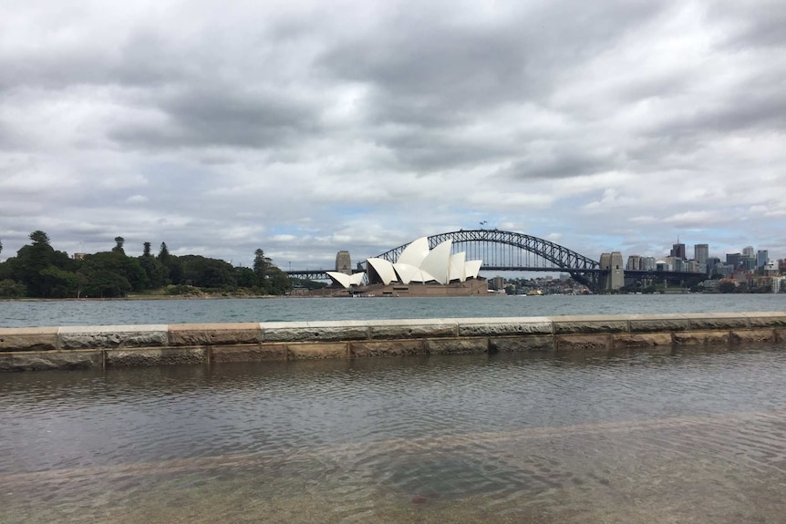 sydney high tide today