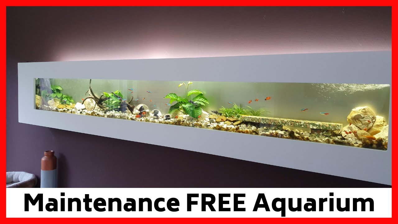 wall hung aquarium