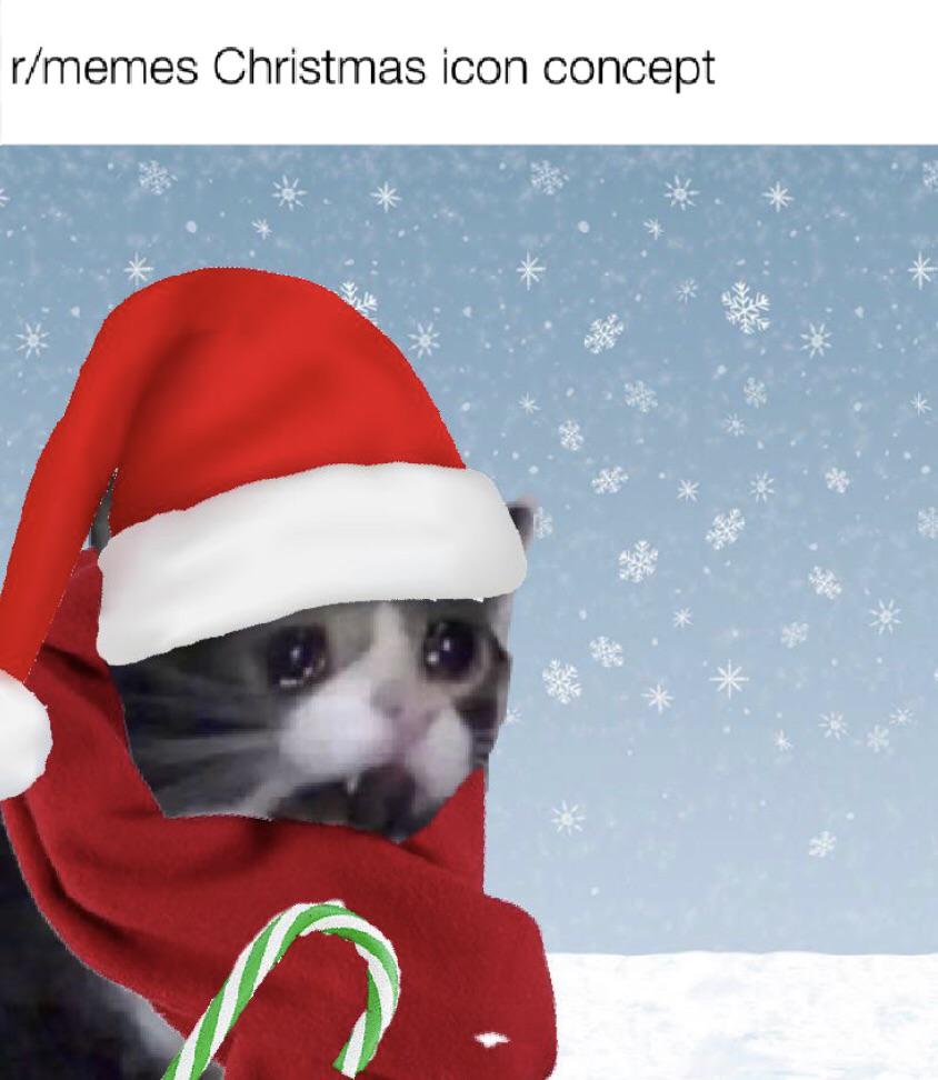 christmas cat memes