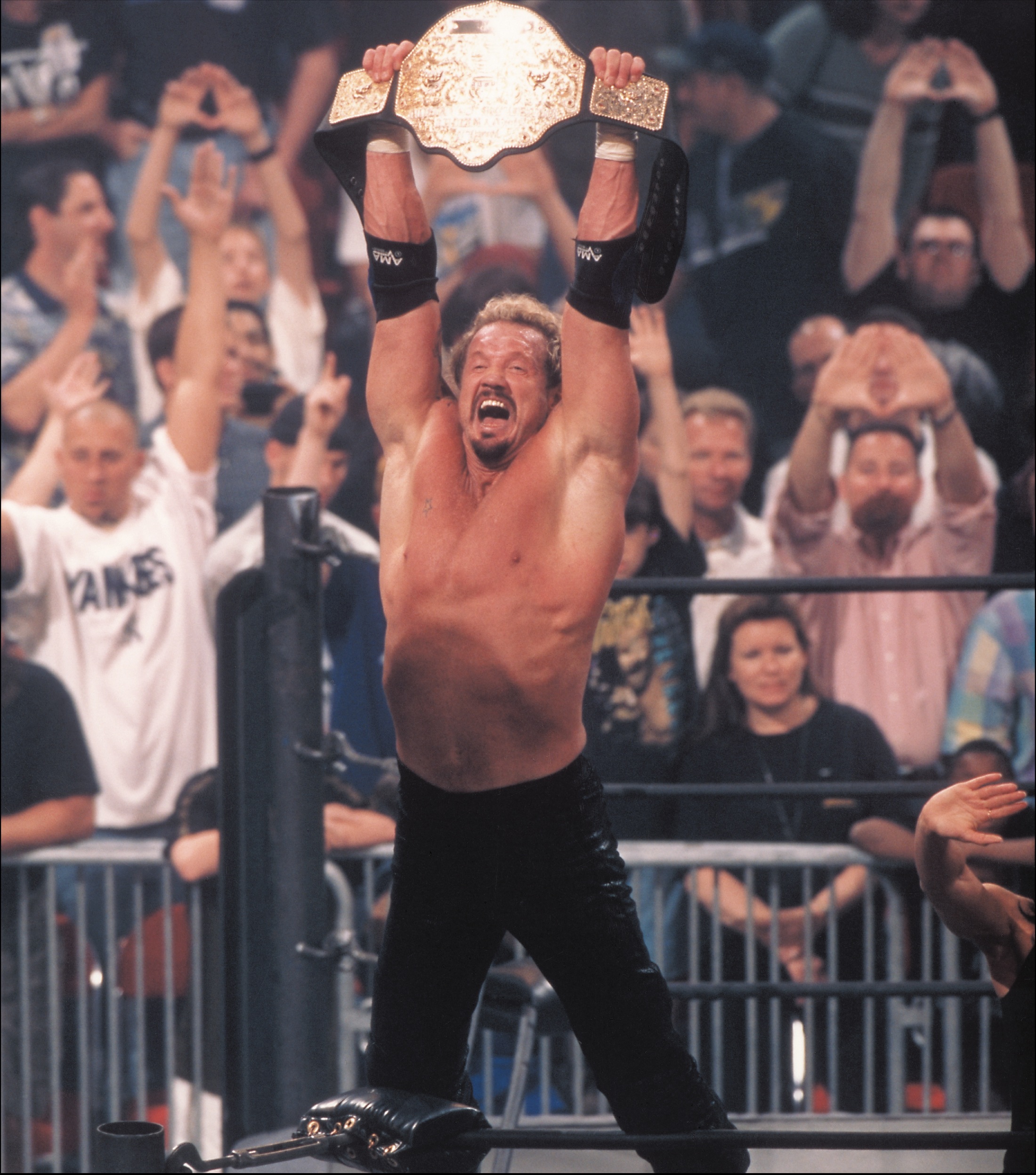 wcw world heavyweight championship