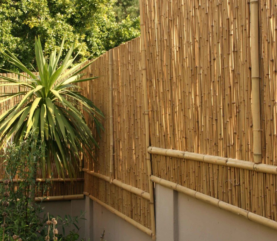 rolled bamboo fence