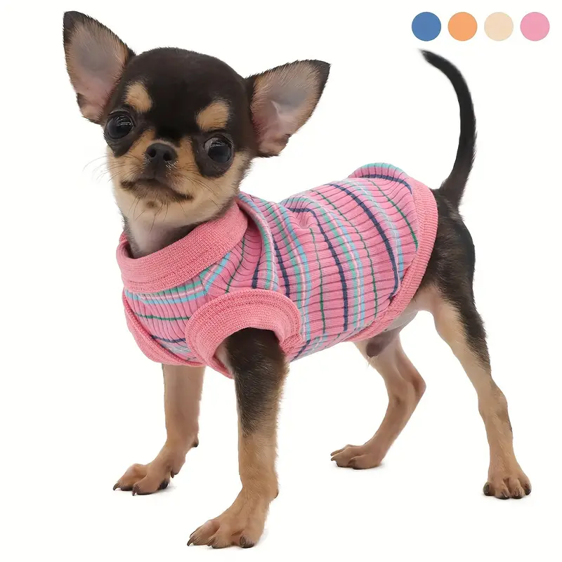 chihuahua dog clothes