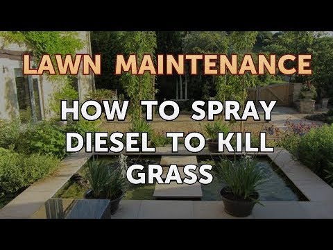 using diesel fuel to kill weeds