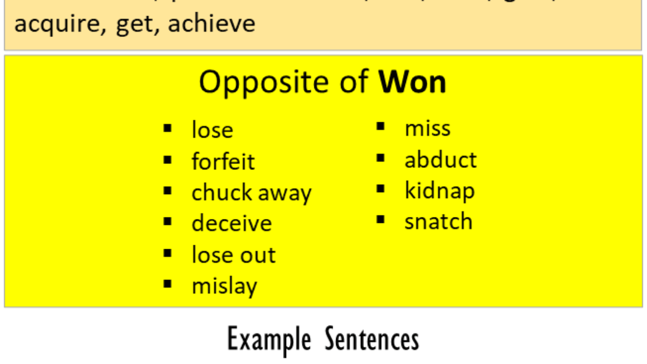 antonyms of won