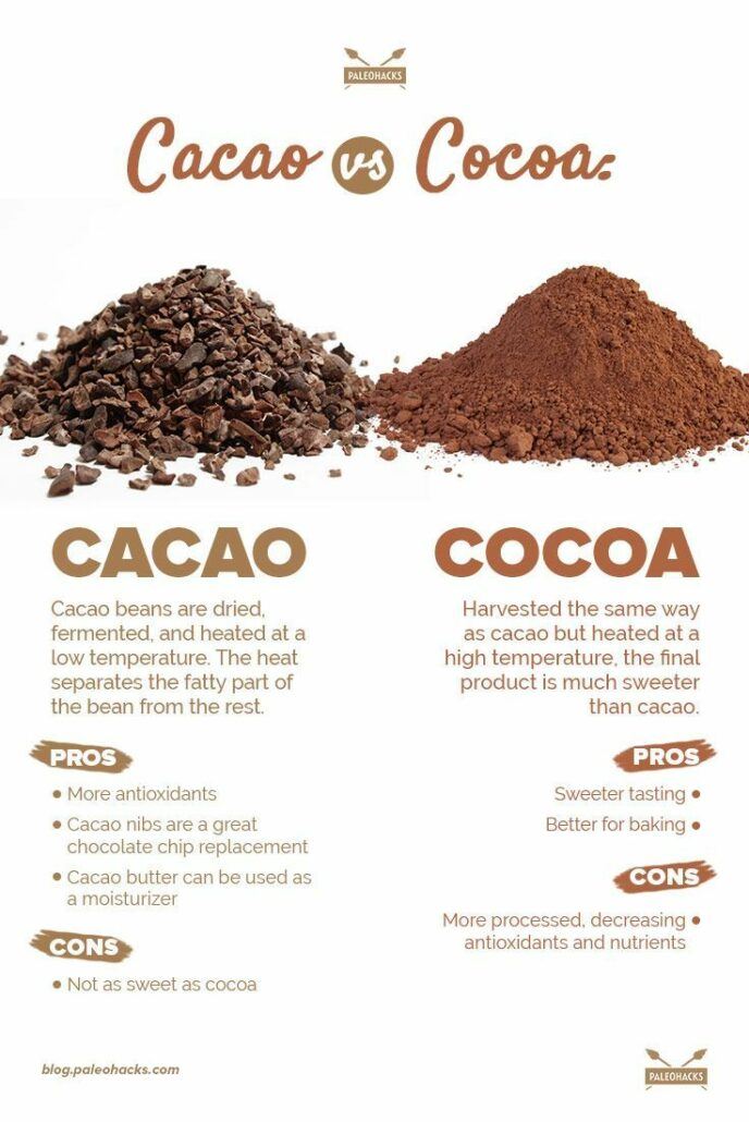 cocoa carbs