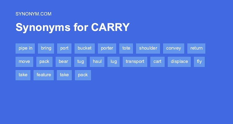 carry out synonyms