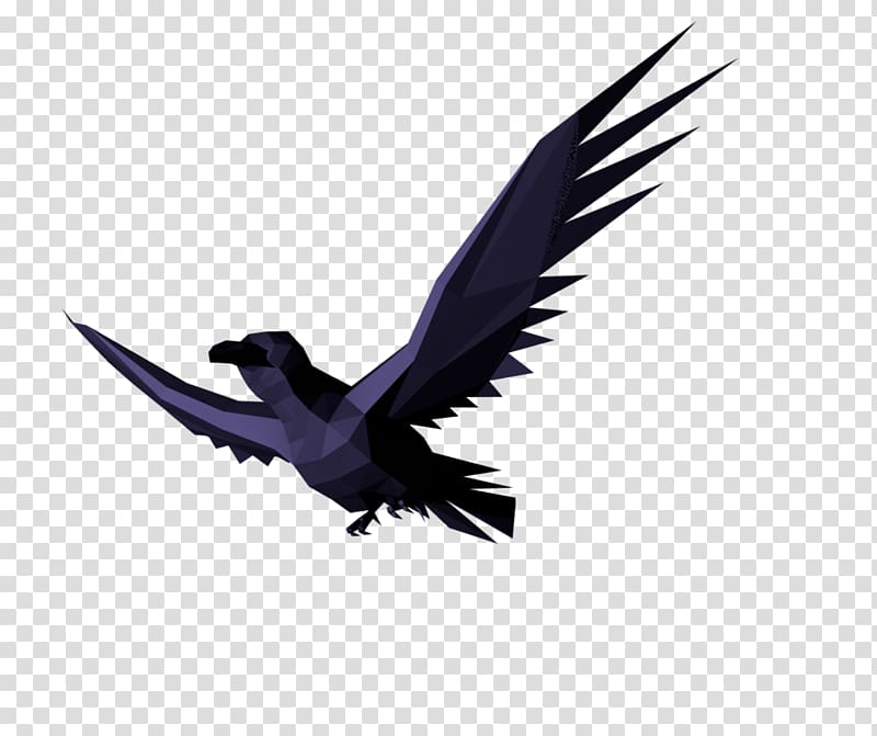 flying bird gif transparent background