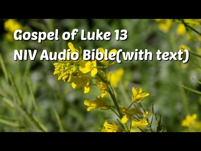 luke 13 niv audio