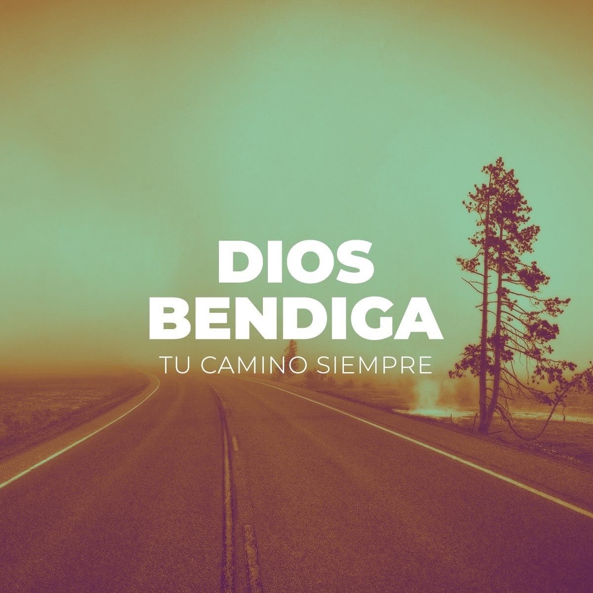 dios bendiga tu camino