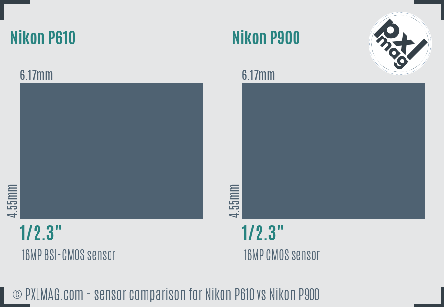 nikon p610 vs p900