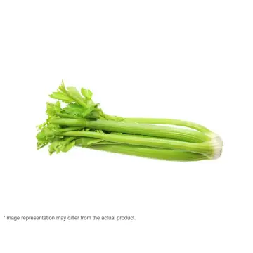 celery price philippines 2019