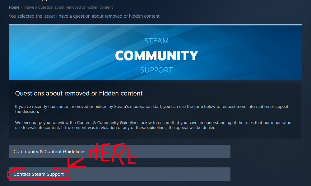 community ban steam