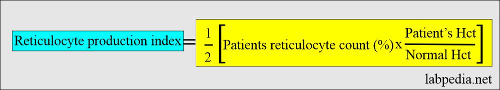 reticulocyte production index formula