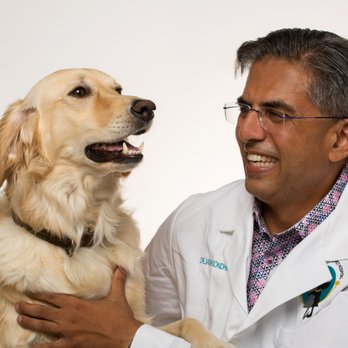 rancho bernardo veterinary clinic