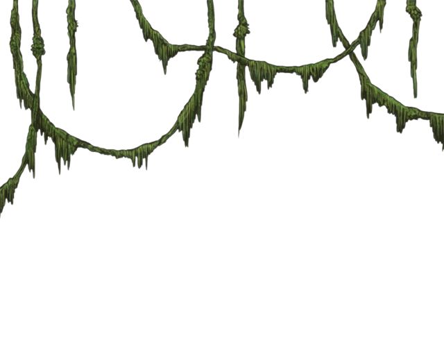 jungle vines clipart