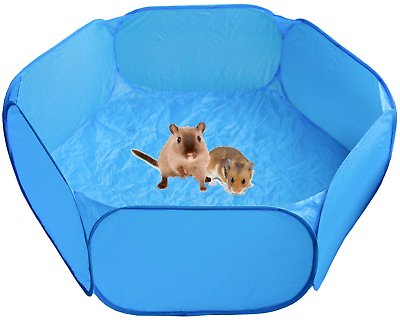 hamster play yard