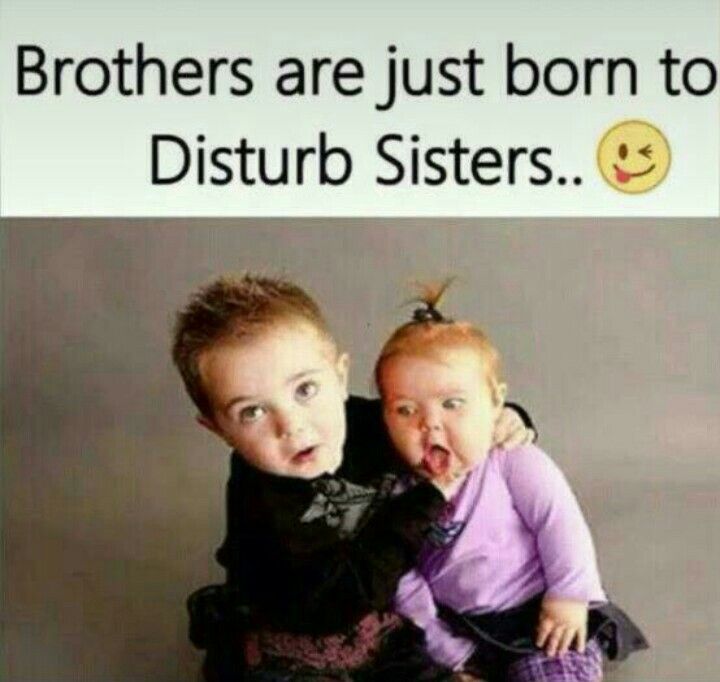 sister brother funny quotes