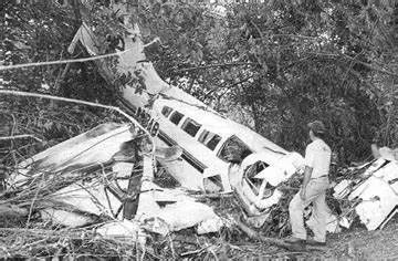 lynyrd skynyrd plane crash pictures