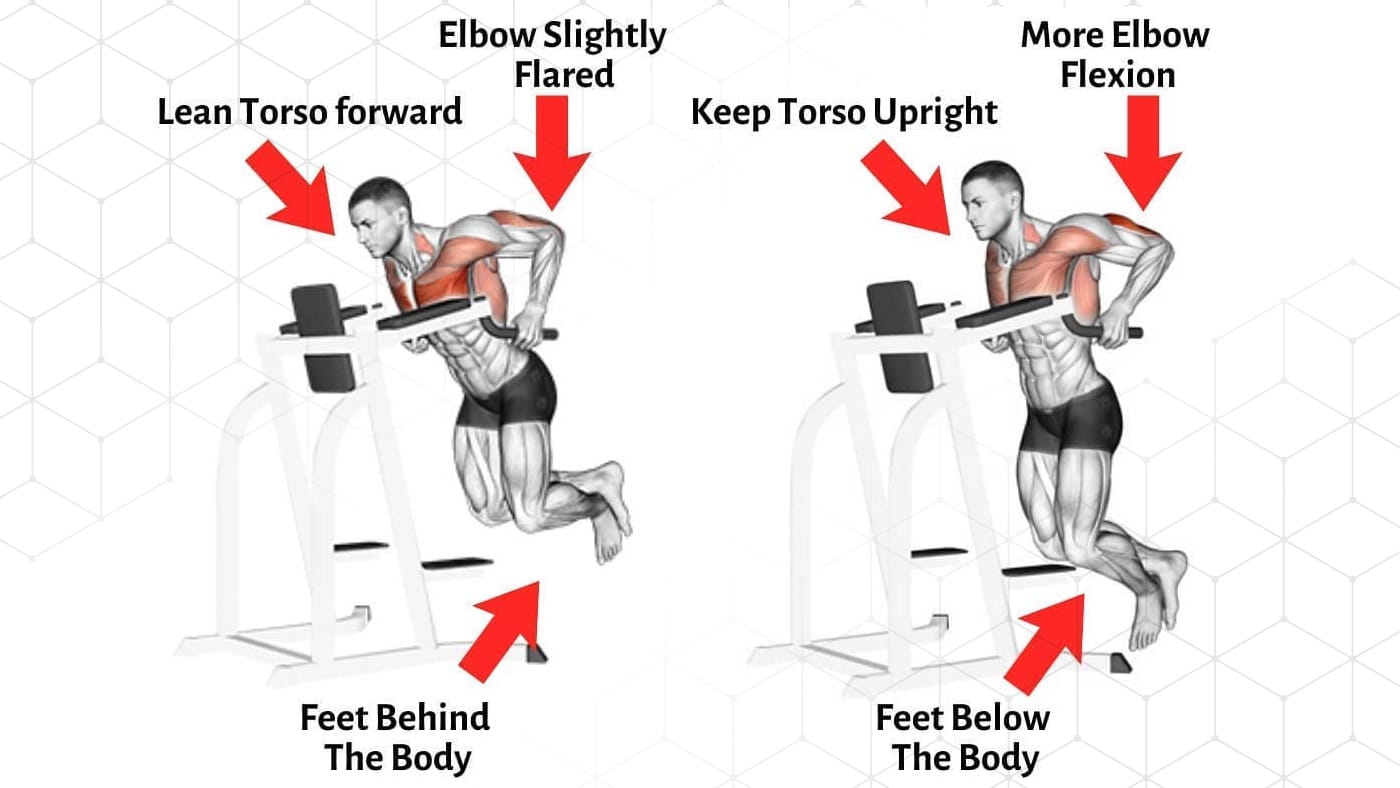 alternatives to dips for chest