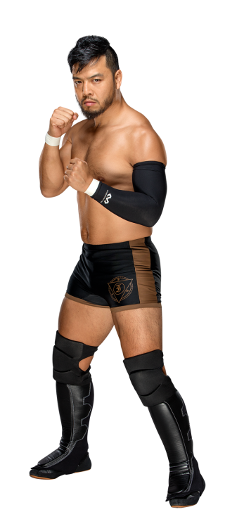 hideo itami