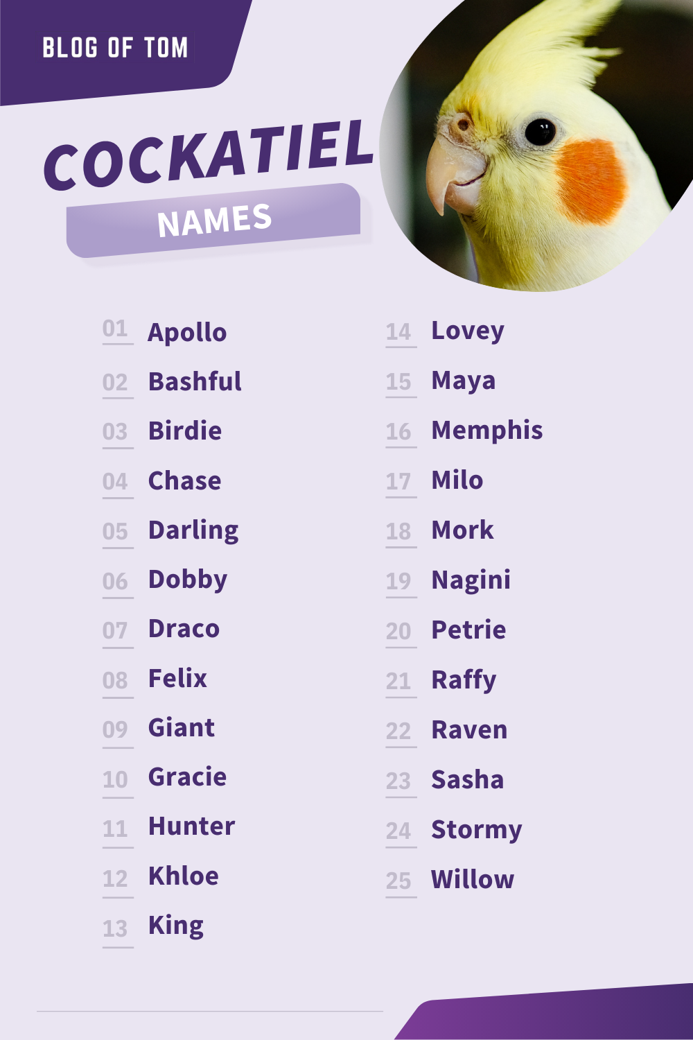 unique male cockatiel names