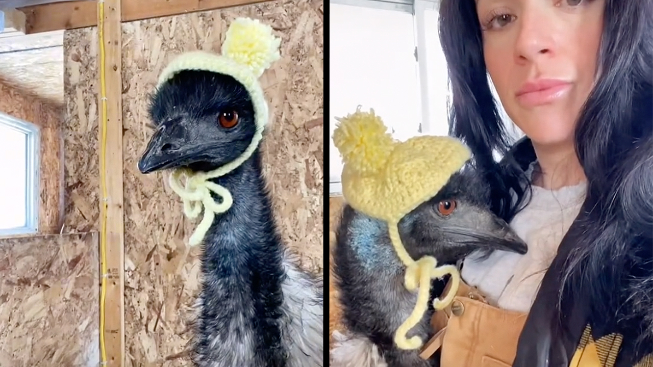 angry emu karen