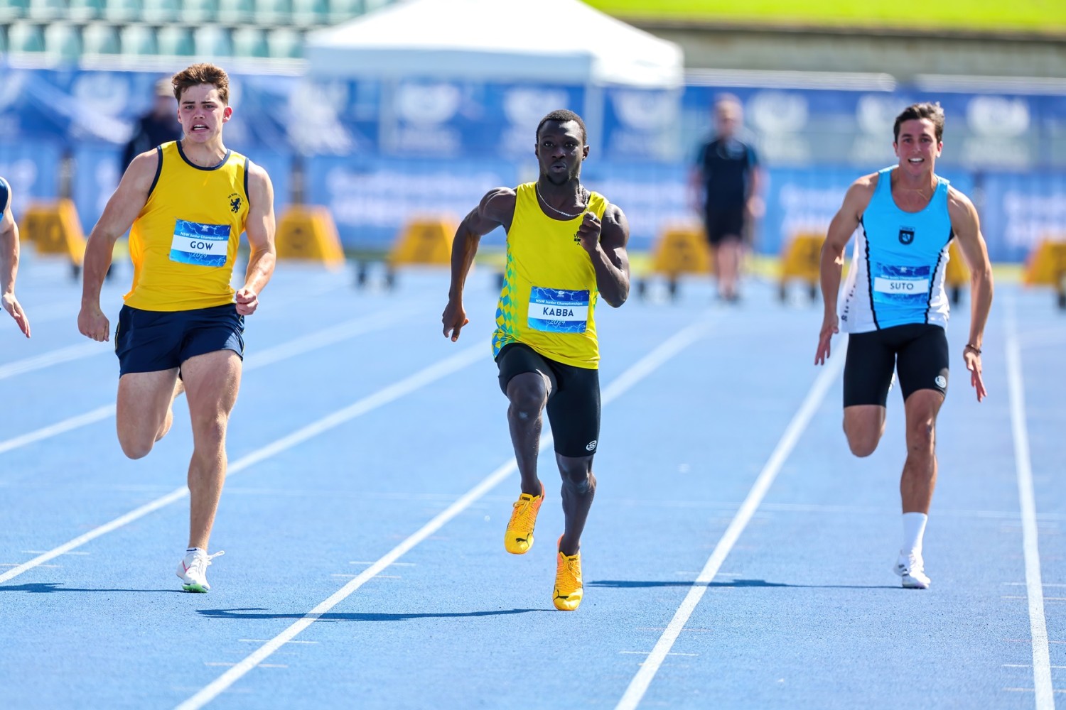 nsw athletics