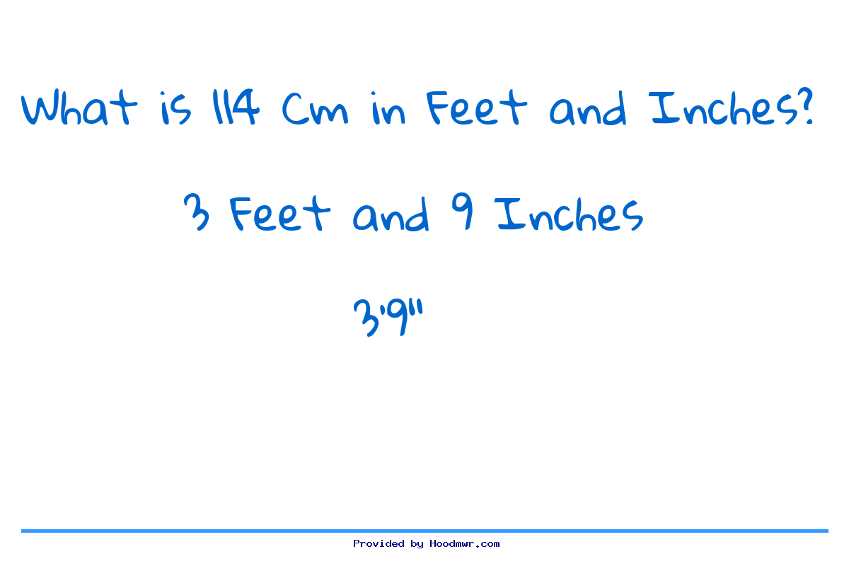 114 inches to feet