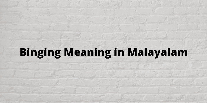 binging meaning in malayalam