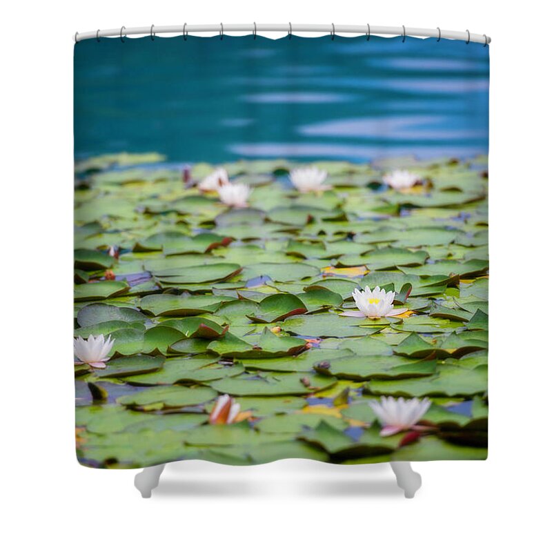 water lily shower curtain
