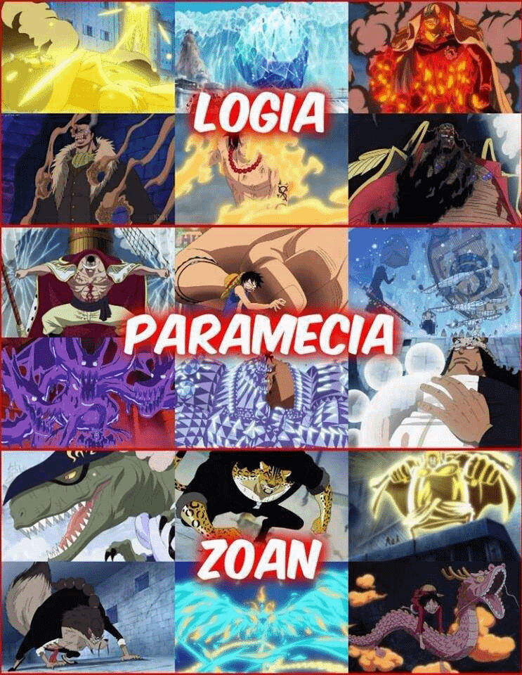 types of devil fruit in one piece