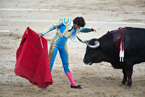 crossword bullfighter