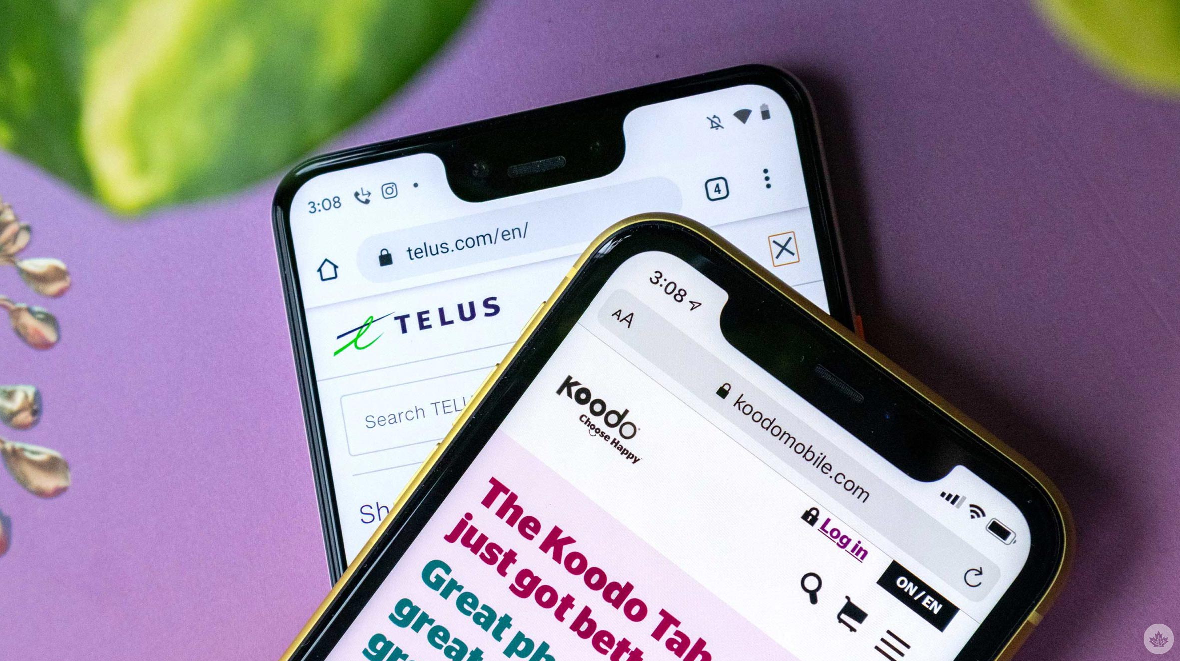 telus winback