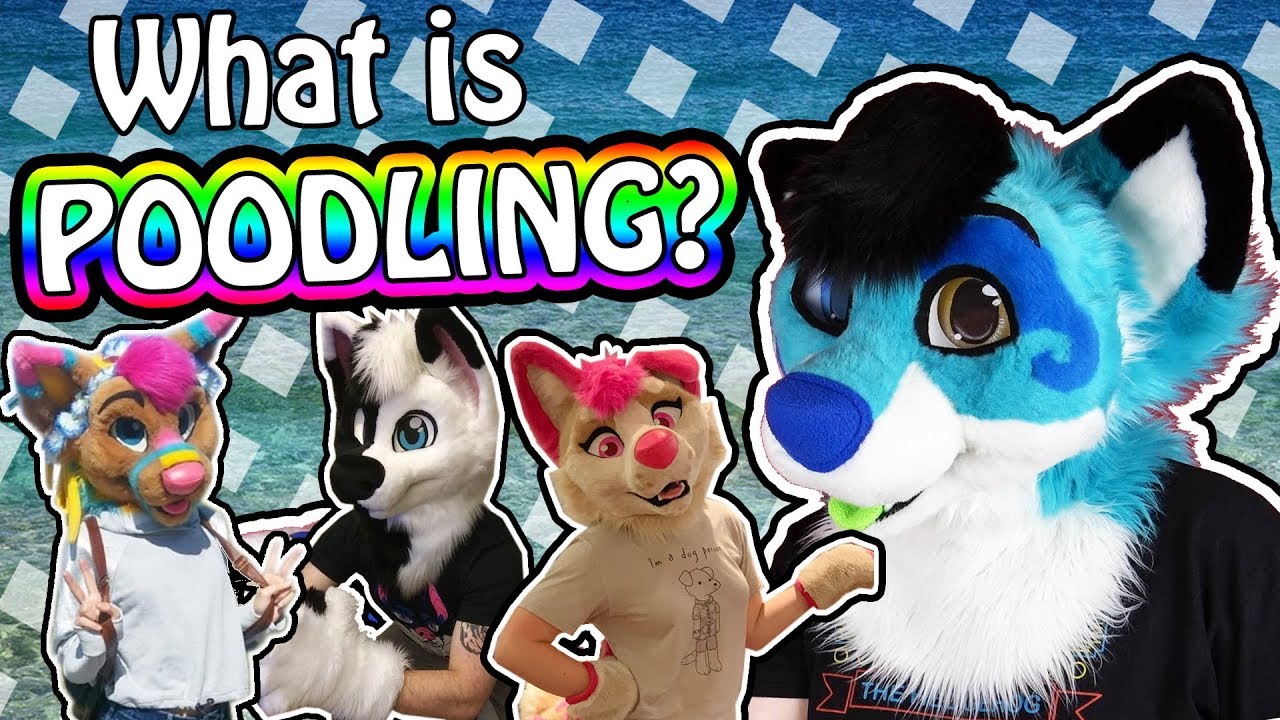 fursuit poodling