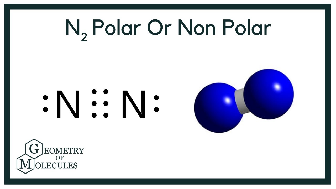 is n2 polar