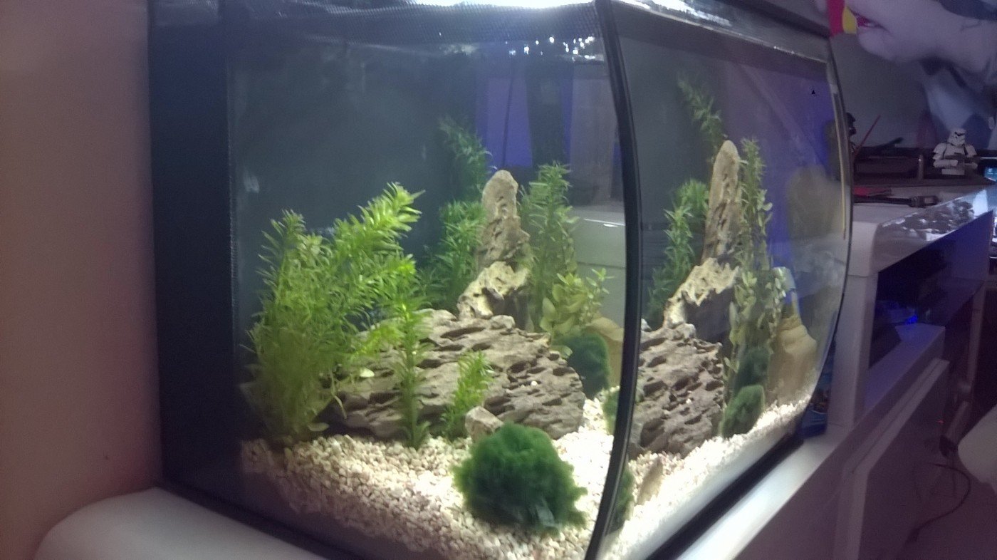 fluval flex 57l erfahrungen