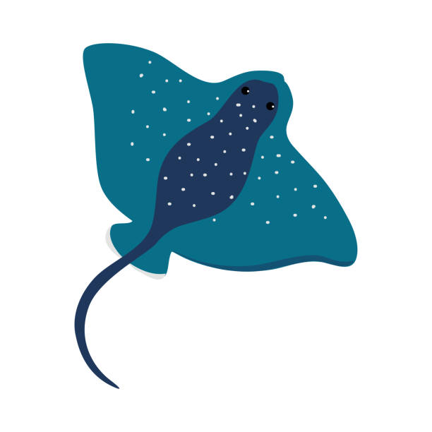 stingray clip art